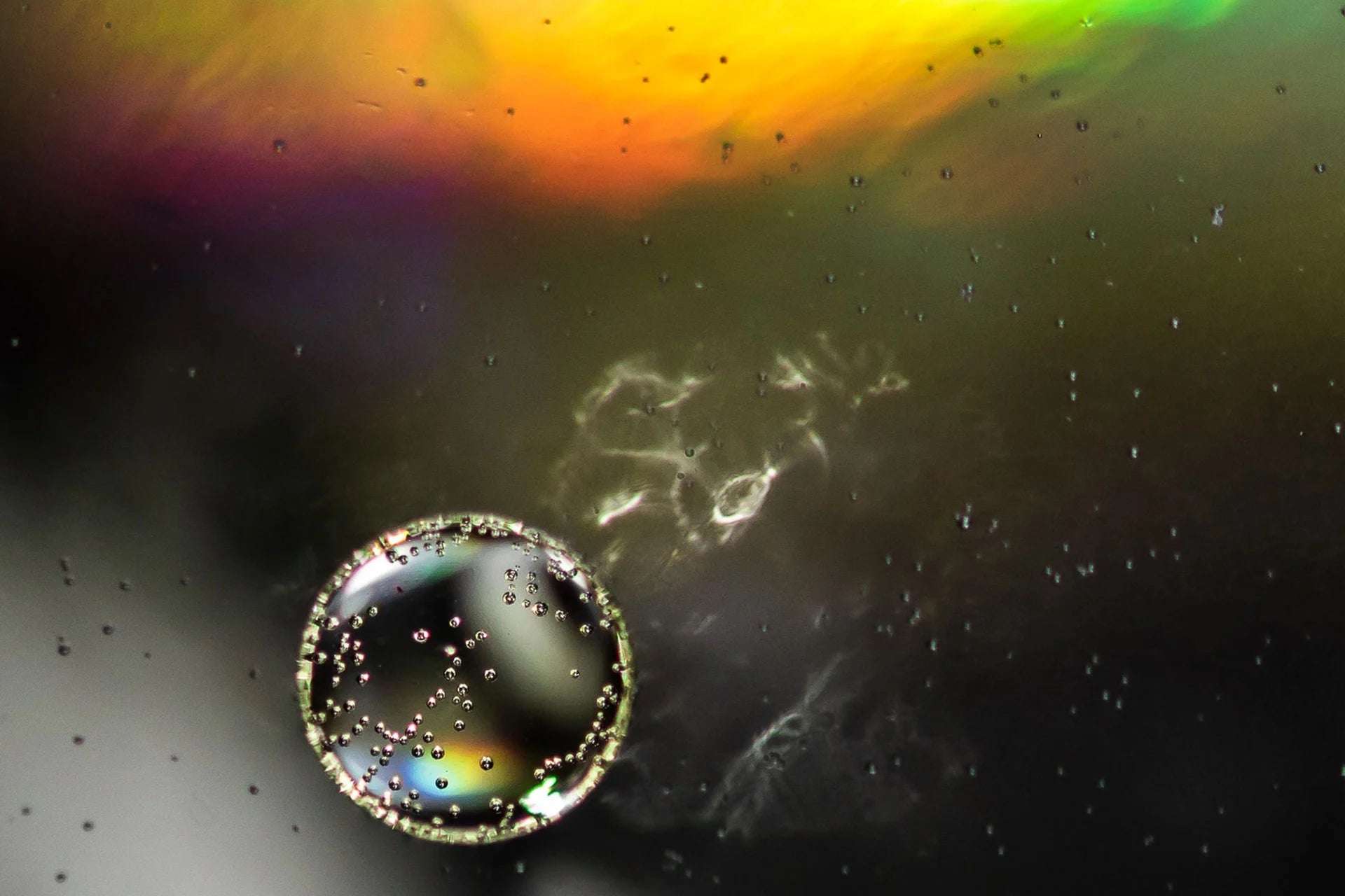 Liposomen Die häufigsten Fragen rund um das Thema „liposomal“ Lipofy